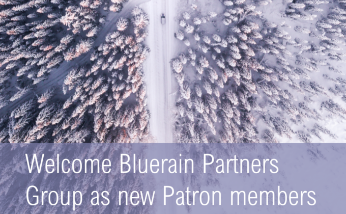 bluerain-partners-group